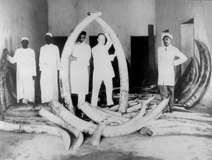 Ivory trade Conencticut